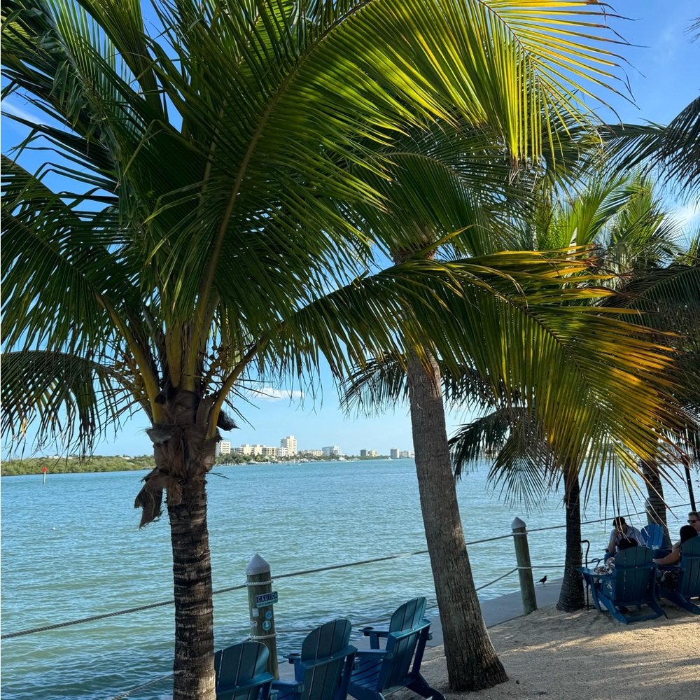 Meet your Posher, Eli